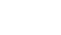 Logo small Dirigens