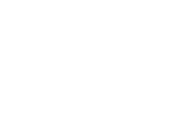 Dirigens - Logo